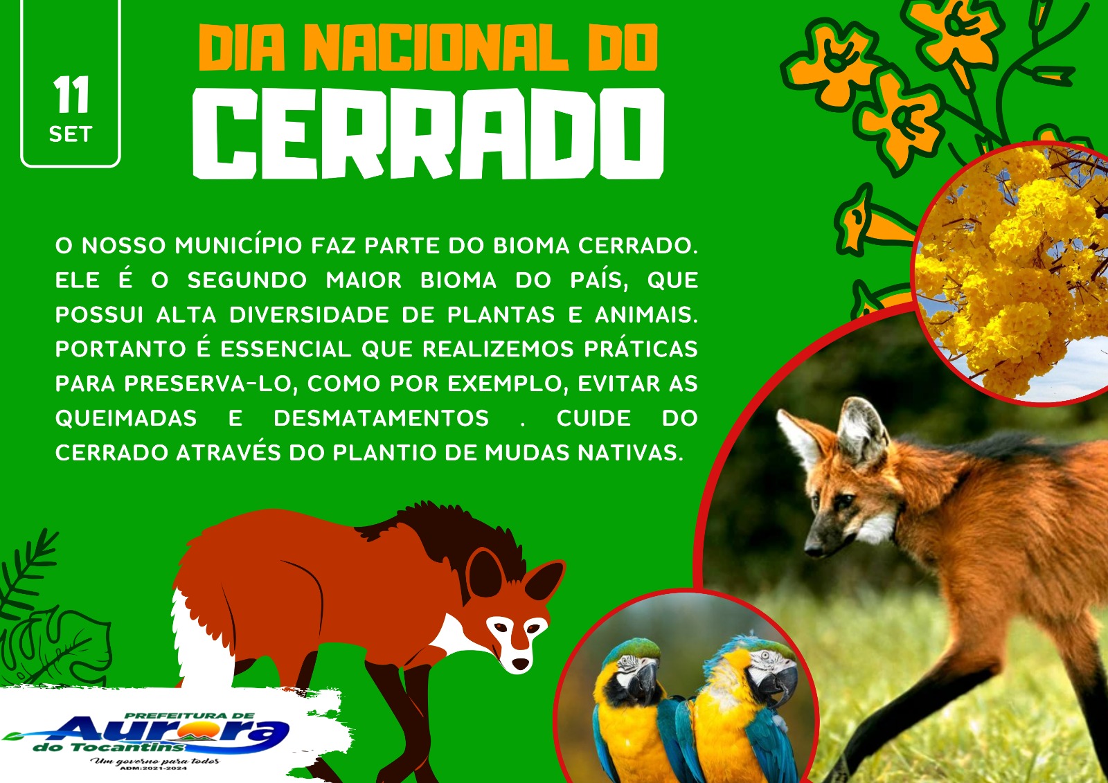 11 DE SETEMBRO – DIA DO CERRADO
