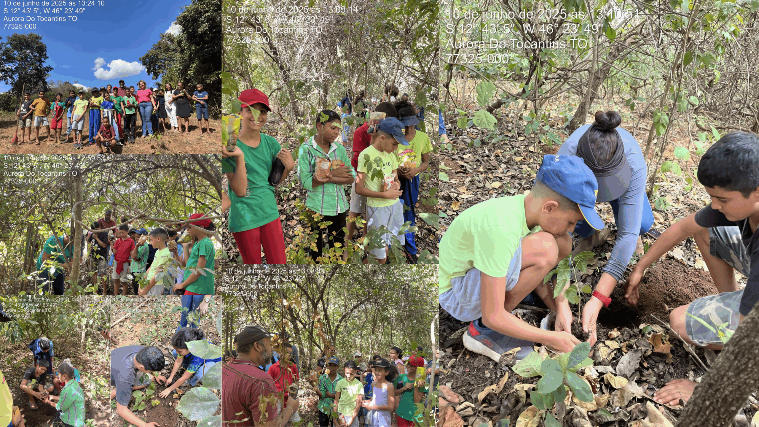 Aurora do Tocantins realiza Dia de Campo com plantio de mudas na APP do Córrego Dobra