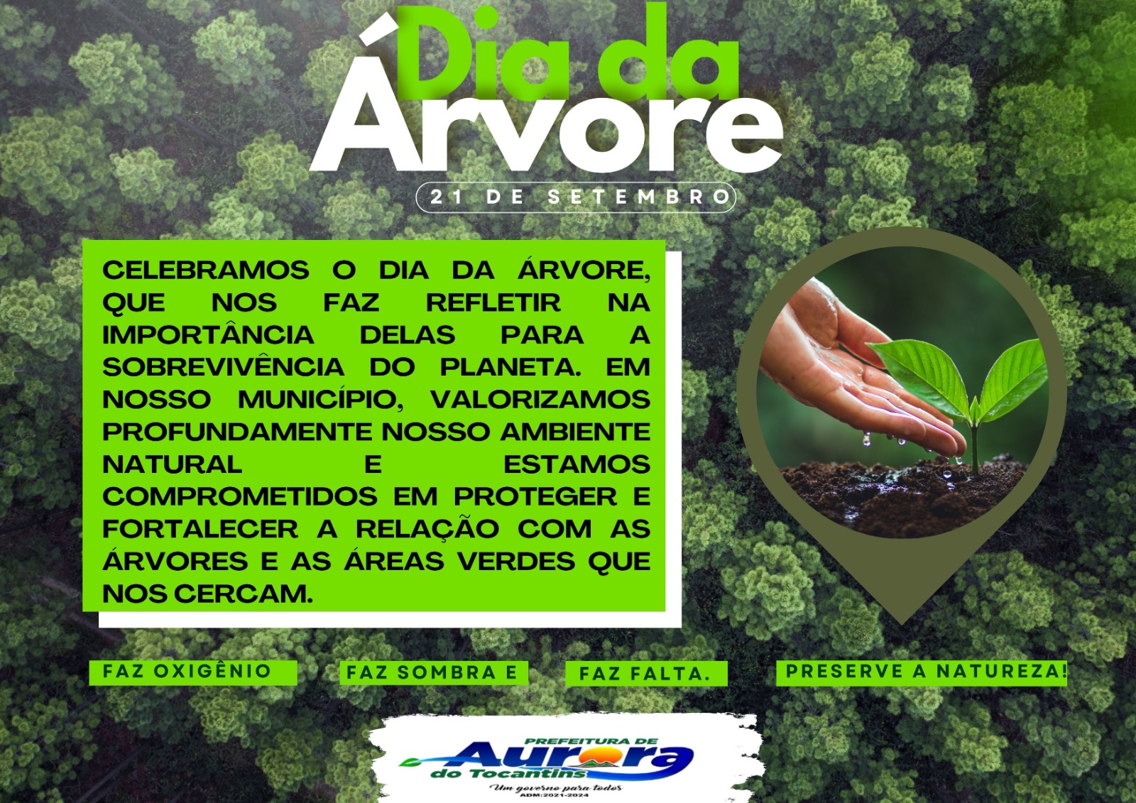 DIA DA ÁRVORE E A PRESERVAÇÃO DO MEIO AMBIENTE